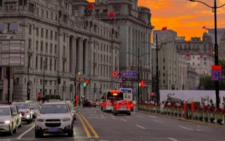 上海品茶地图2025：从老茶馆到数字茶空间的百年嬗变