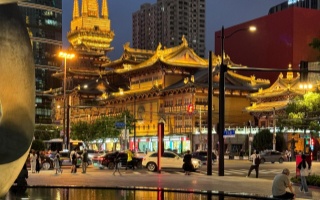 2025年上海品茶工作室：高效安排与精致体验指南